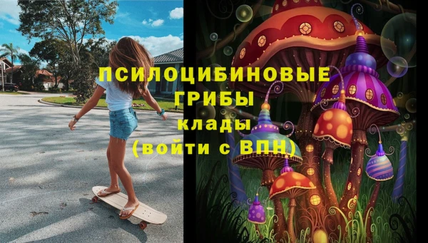 ALPHA-PVP Краснослободск