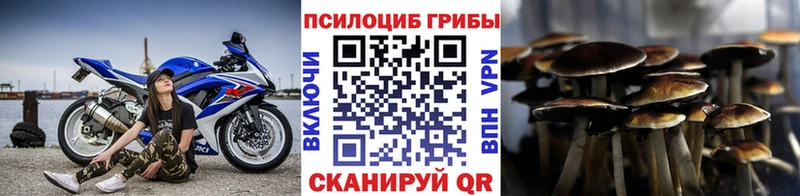 Галлюциногенные грибы Magic Shrooms  Купить где  Чистополь 